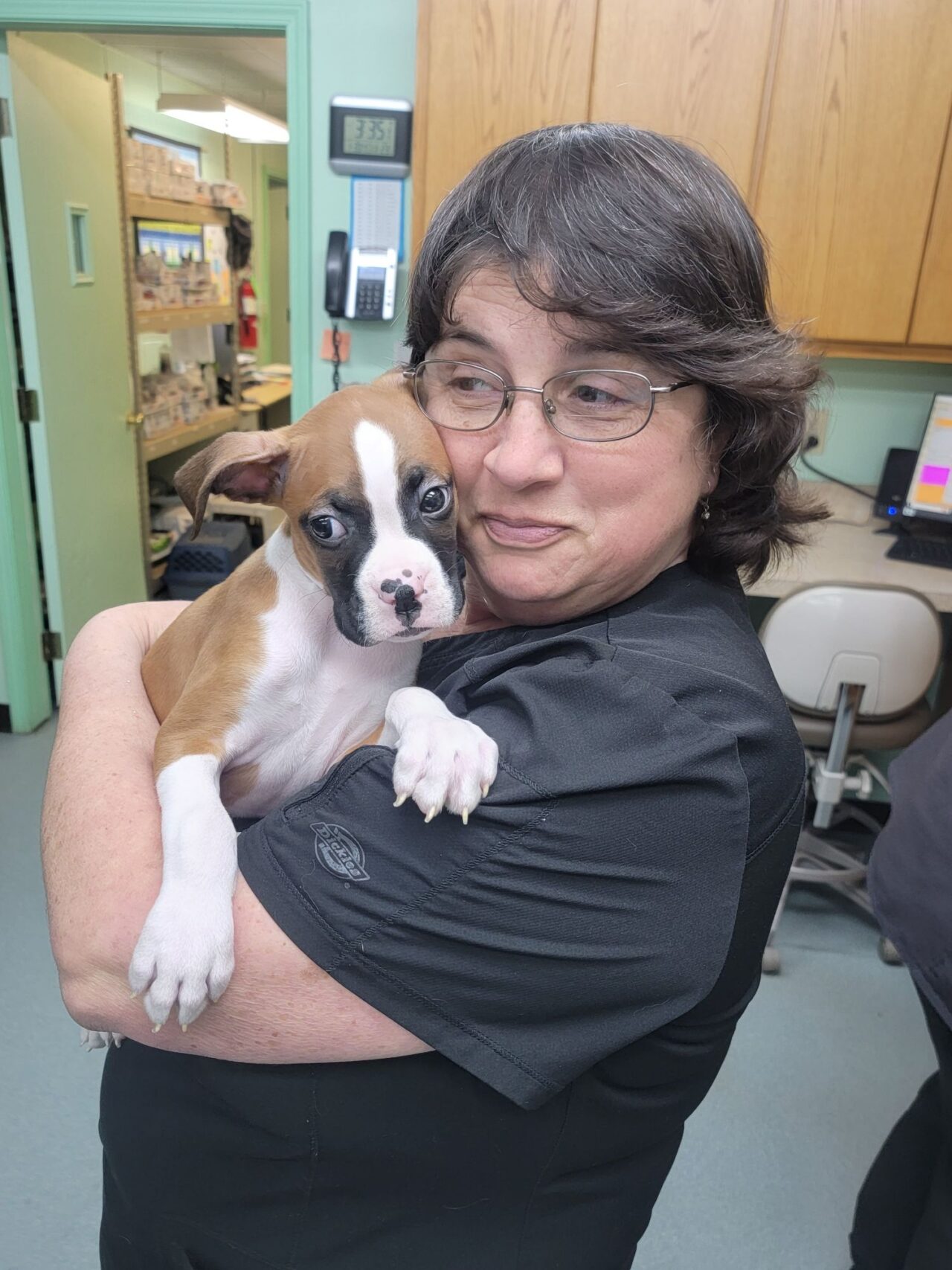 Independence, KS Veterinarians Independence Animal Hospital