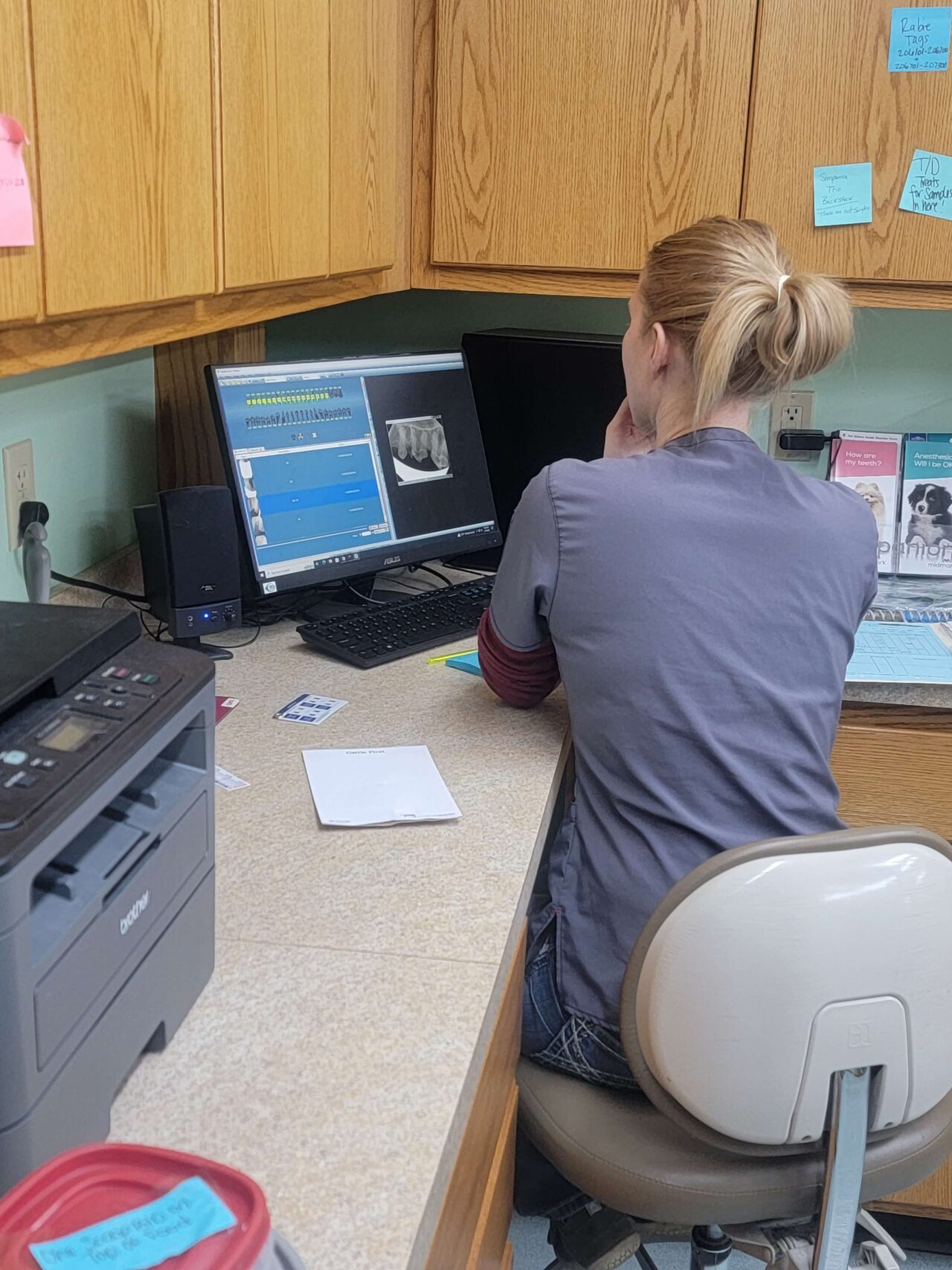 Independence Animal Hospital Independence Missouri - 9x3teto
