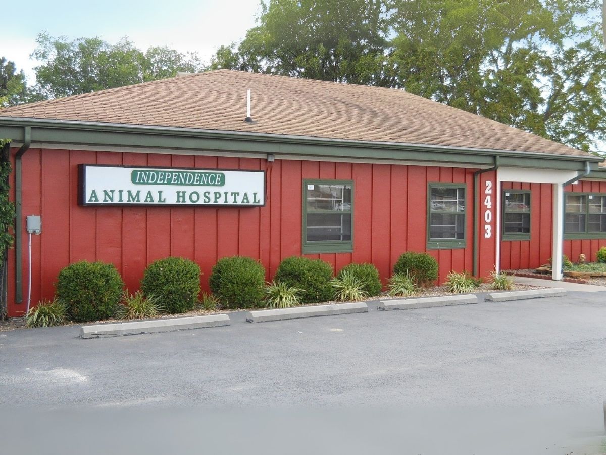 Independence Animal Hospital Building2 Independence Animal Hospital Building