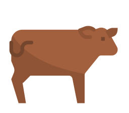 pig